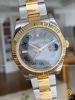 dong-ho-rolex-oyster-perpetual-datejust-ii-steel-gold-41-m116333-luot - ảnh nhỏ 34