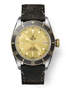 Đồng hồ Tudor Black Bay S&G M79733N-0003