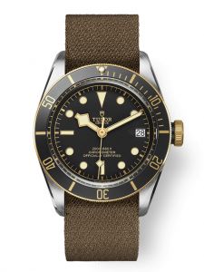 Đồng hồ Tudor Black Bay S&G M79733N-0005