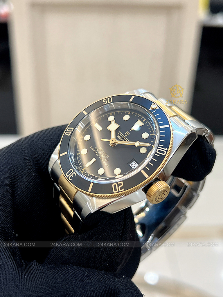 Đồng hồ Tudor Black Bay S&G 79733N M79733N-0008 41 Demi Vàng Mặt Đen