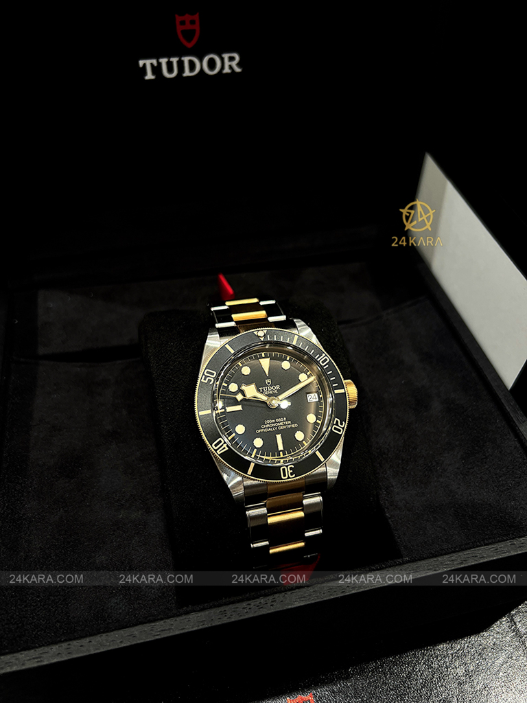 Đồng hồ Tudor Black Bay S&G 79733N M79733N-0008 41 Demi Vàng Mặt Đen