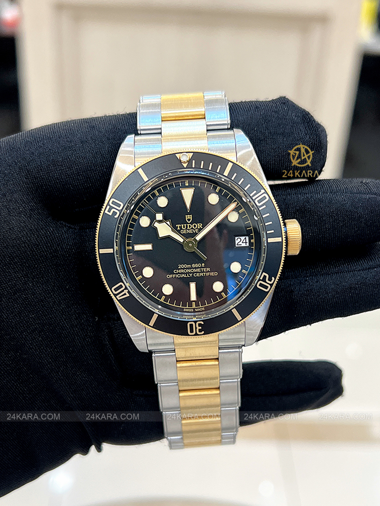 Đồng hồ Tudor Black Bay S&G 79733N M79733N-0008 41 Demi Vàng Mặt Đen