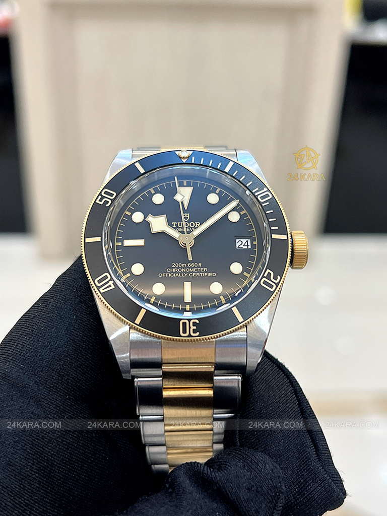 Đồng hồ Tudor Black Bay S&G 79733N M79733N-0008 41 Demi Vàng Mặt Đen