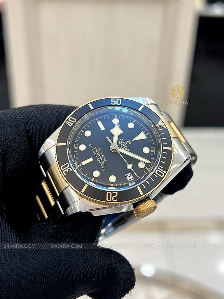 Đồng hồ Tudor Black Bay S&G 79733N M79733N-0008 41 Demi Vàng Mặt Đen