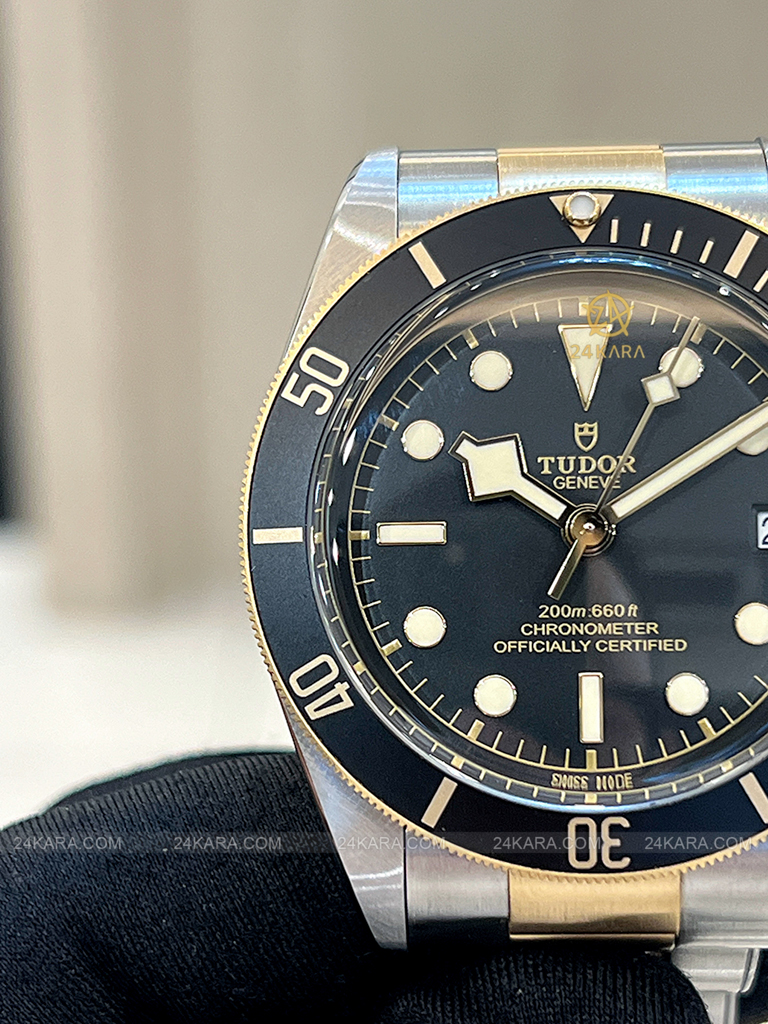 Đồng hồ Tudor Black Bay S&G 79733N M79733N-0008 41 Demi Vàng Mặt Đen