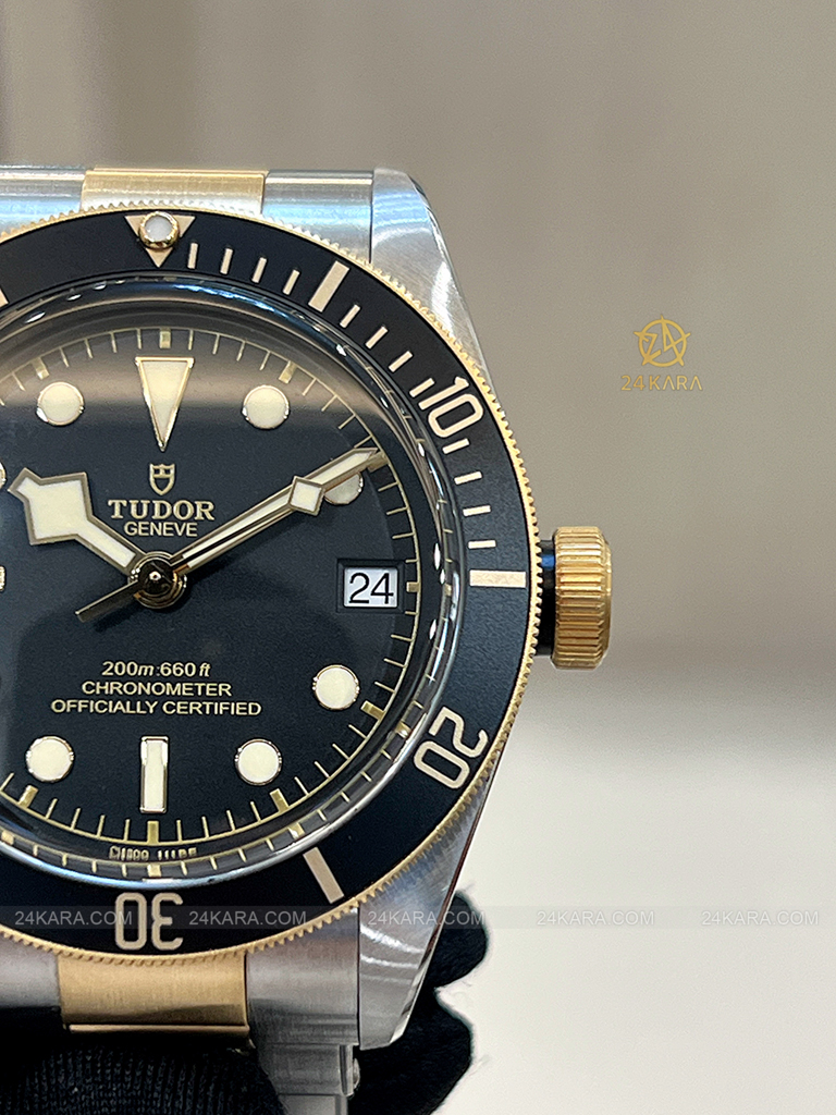 Đồng hồ Tudor Black Bay S&G 79733N M79733N-0008 41 Demi Vàng Mặt Đen