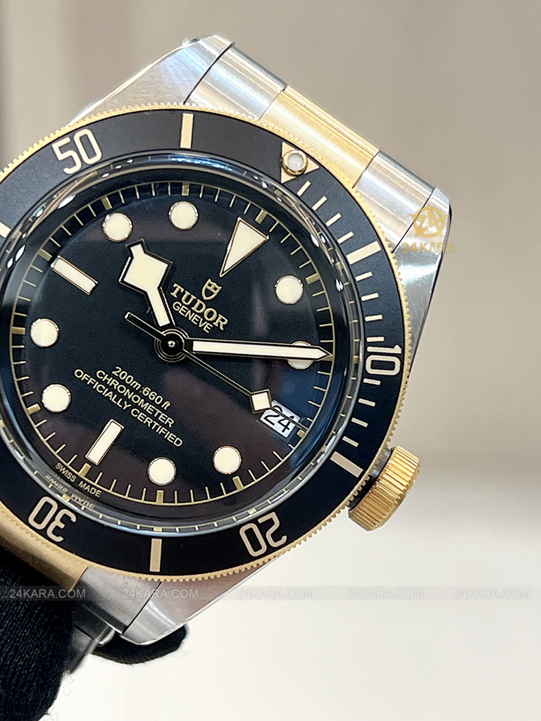 Đồng hồ Tudor Black Bay S&G 79733N M79733N-0008 41 Demi Vàng Mặt Đen