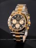 dong-ho-rolex-cosmograph-daytona-m126503-0002-126503-0002-oystersteel-va-vang-vang-mat-so-den-sang-va-vang-kim-kim-cuong-mau-moi-2023 - ảnh nhỏ 2