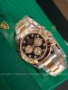 dong-ho-rolex-cosmograph-daytona-m126503-0002-126503-0002-oystersteel-va-vang-vang-mat-so-den-sang-va-vang-kim-kim-cuong-mau-moi-2023 - ảnh nhỏ 26