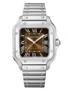 Đồng hồ Cartier Santos de Cartier WSSA0065