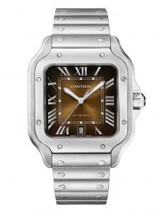 Đồng hồ Cartier Santos de Cartier WSSA0064