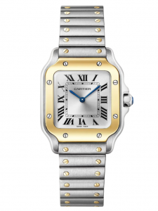 Đồng hồ Cartier Santos De Cartier W2SA0033 Vàng hồng 18K và Thép
