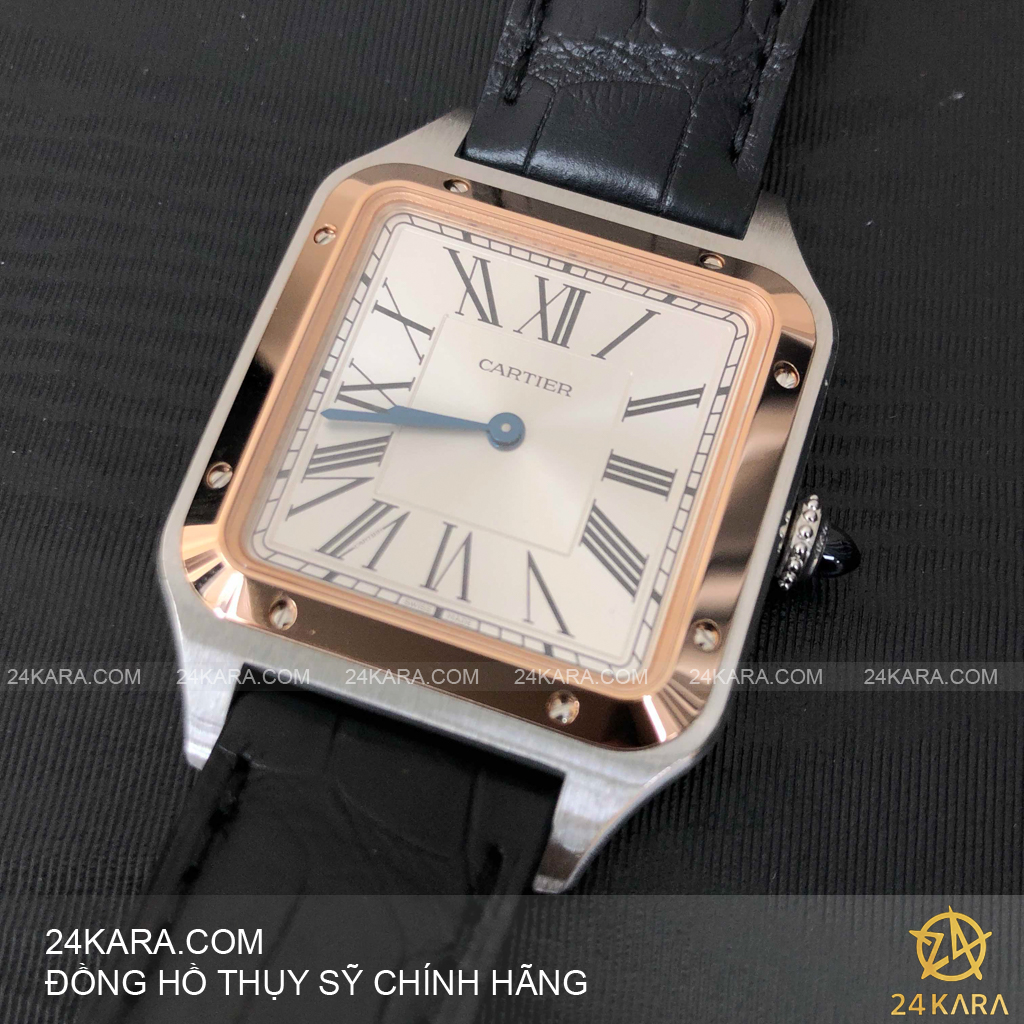 Đồng hồ Cartier Santos W2sa0011