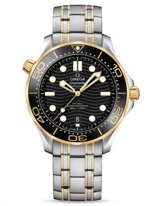 Đồng hồ Omega Seamaster Diver 300M Omega Co-Axial Master Chronometer 210.20.42.20.01.002 21020422001002