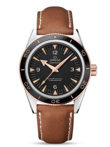 Đồng hồ Omega Seamaster 300 Master Co-Axial Chronometer 233.22.41.21.01.002 23322412101002