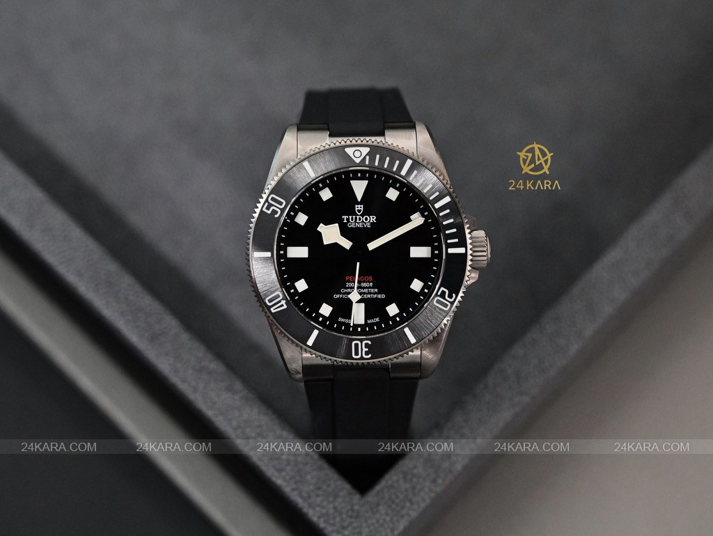 tudor-pelagos-39-25407n-no-date-titanium-dive-watch-1