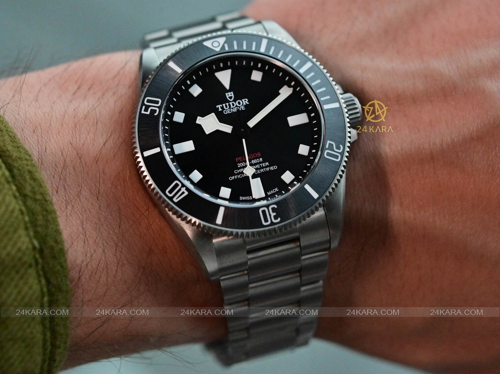 tudor-pelagos-39-25407n-no-date-titanium-dive-watch-2